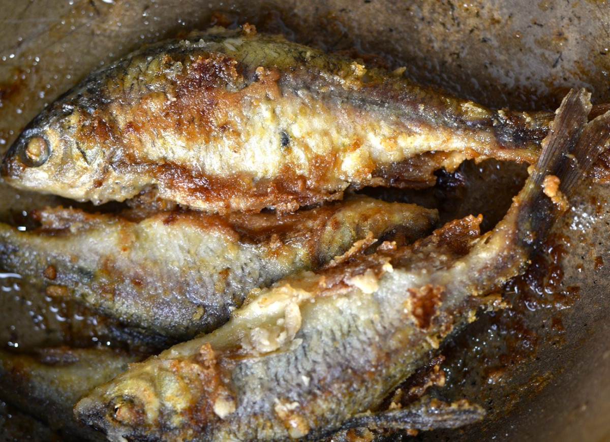 ryba taranka - vobla