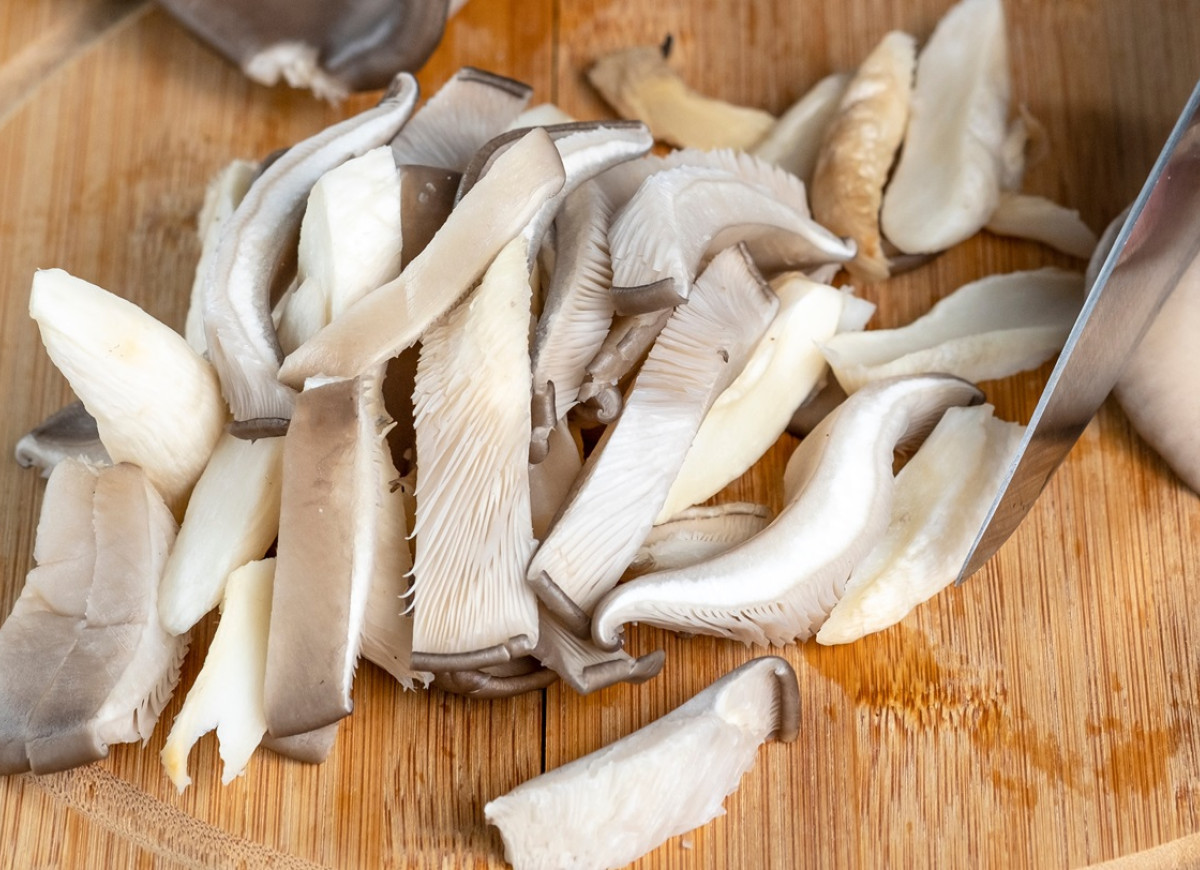 boczniaki ostrygowate