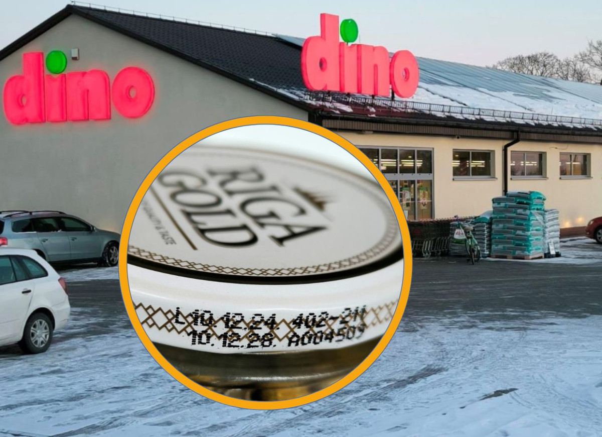 śledzik z Dino Riga Gold