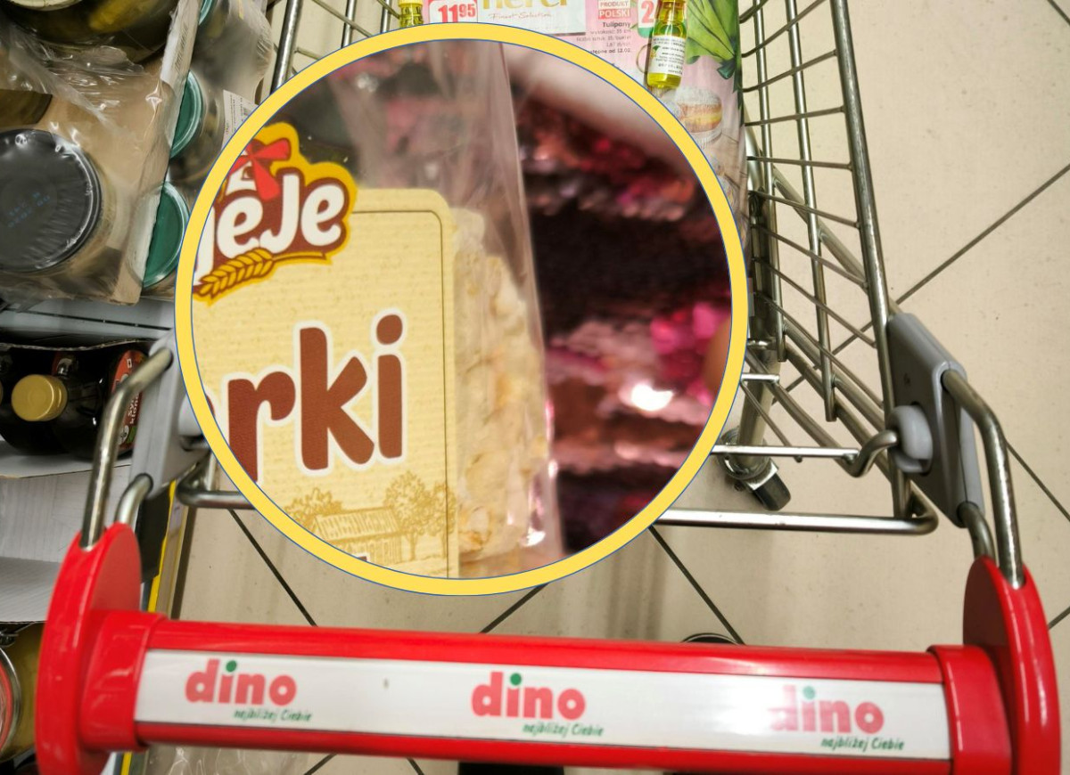 talarki SiejeJe z Dino