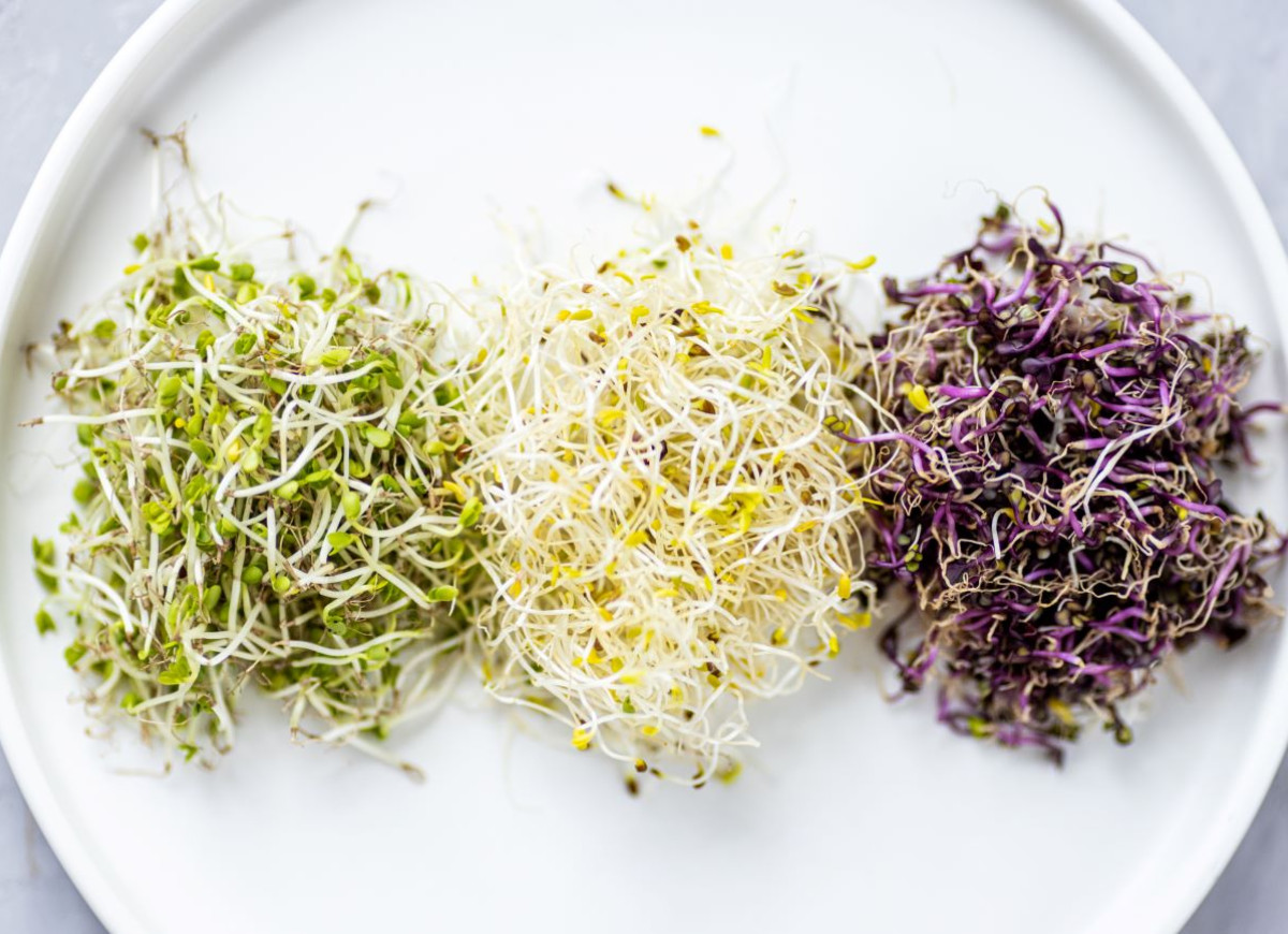 hodowanie kiełków w woreczku