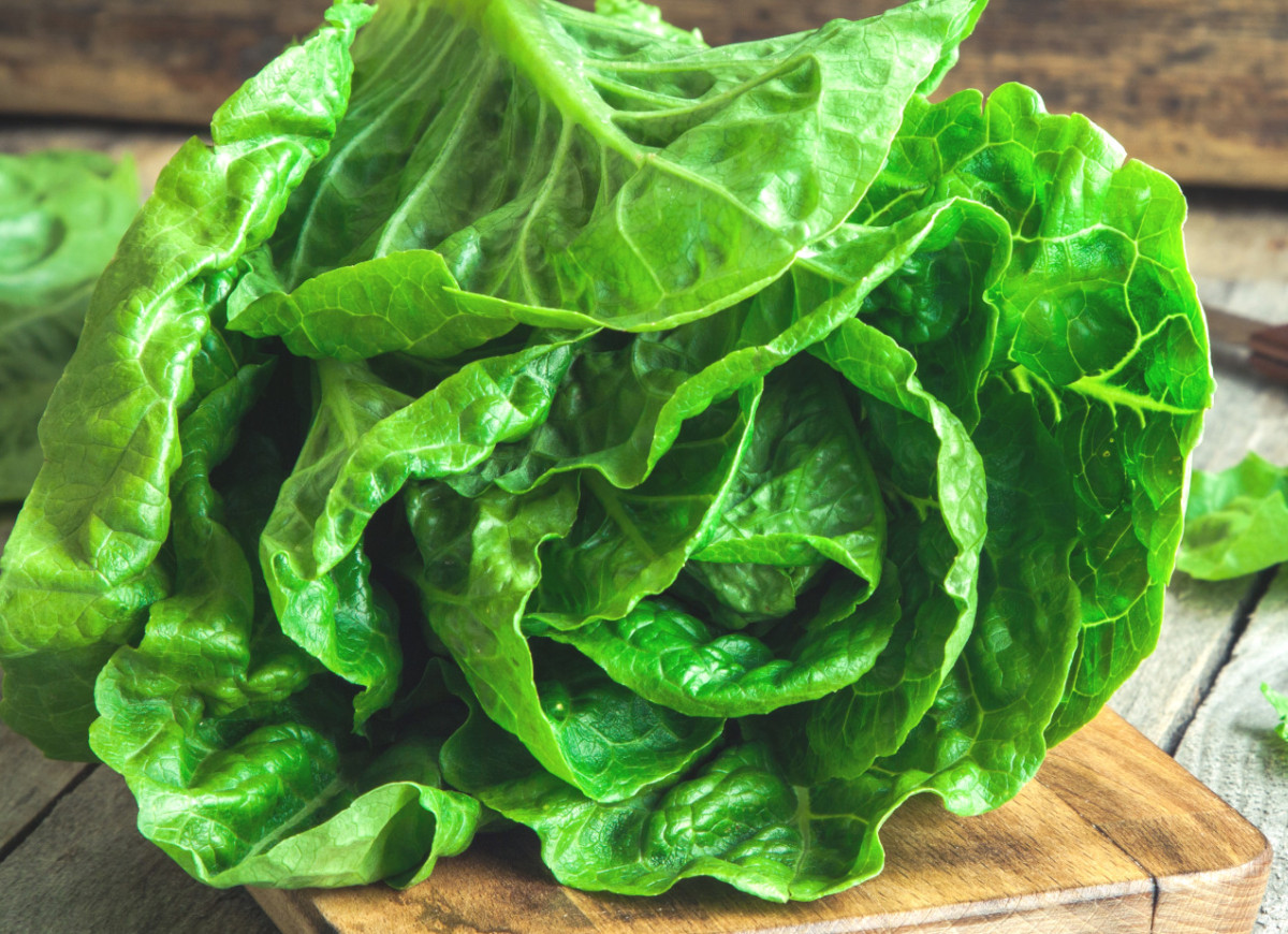 Przechowywanie sałaty