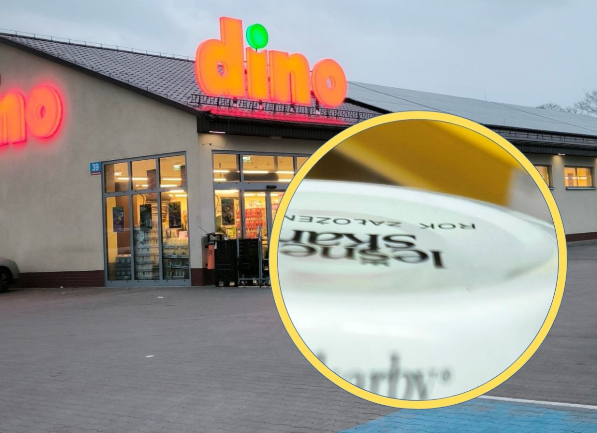 grzyby po kaszubsku z Dino