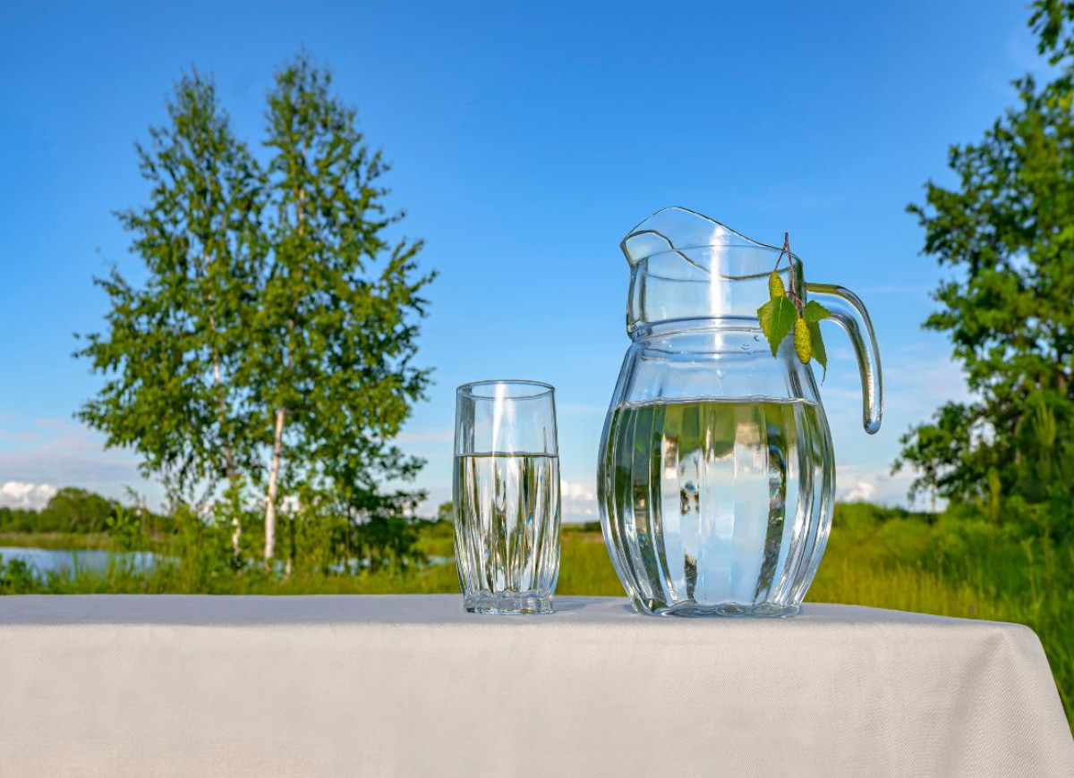 sok z brzozy sezon wystartował