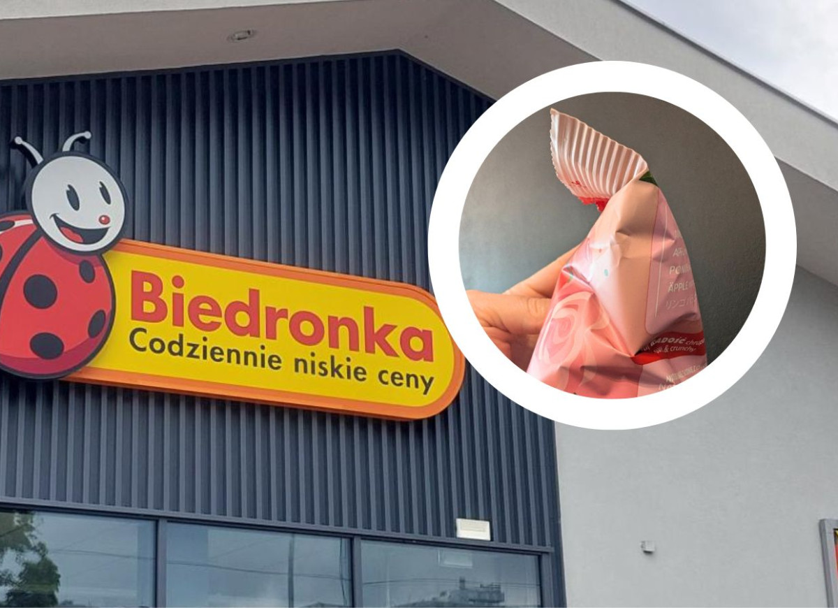 chipsy jabłkowe z dziką róża Crispy Natural