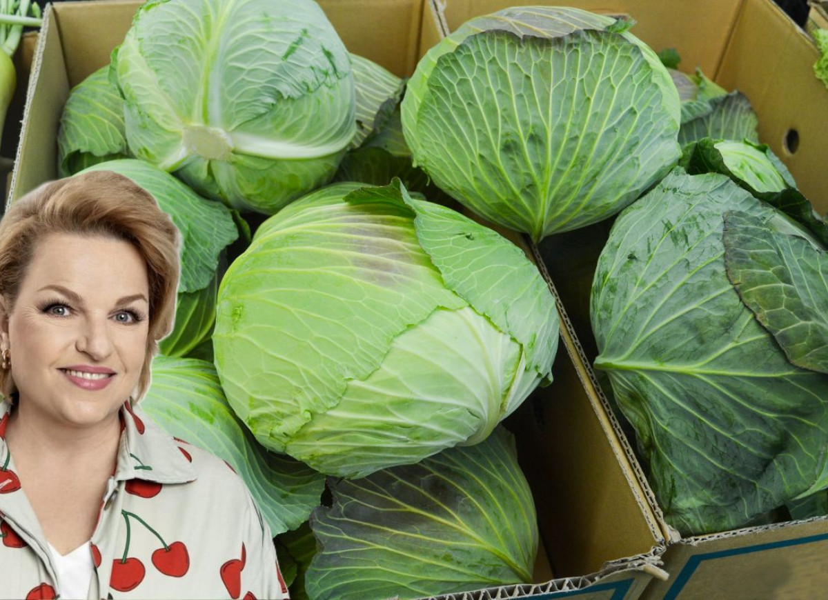 młoda i wczesna kapusta Katarzyna Bosacka