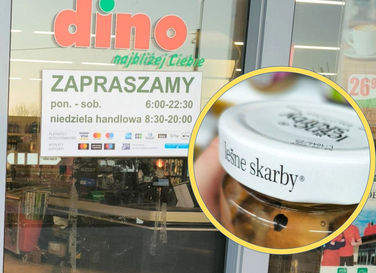 nadbużańskie grzyby z Dino