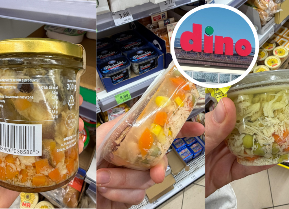 Galareta w Dino