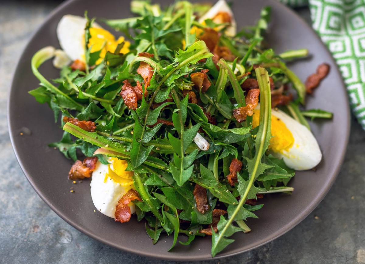 sałatka z liści mniszka