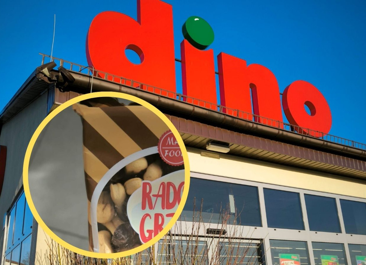 Radosne Grzybki z Dino