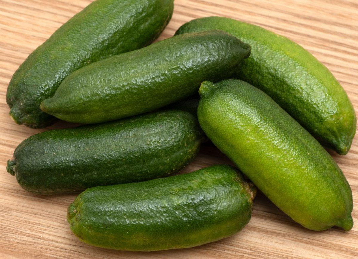 finger lime - owoc cytrusowy