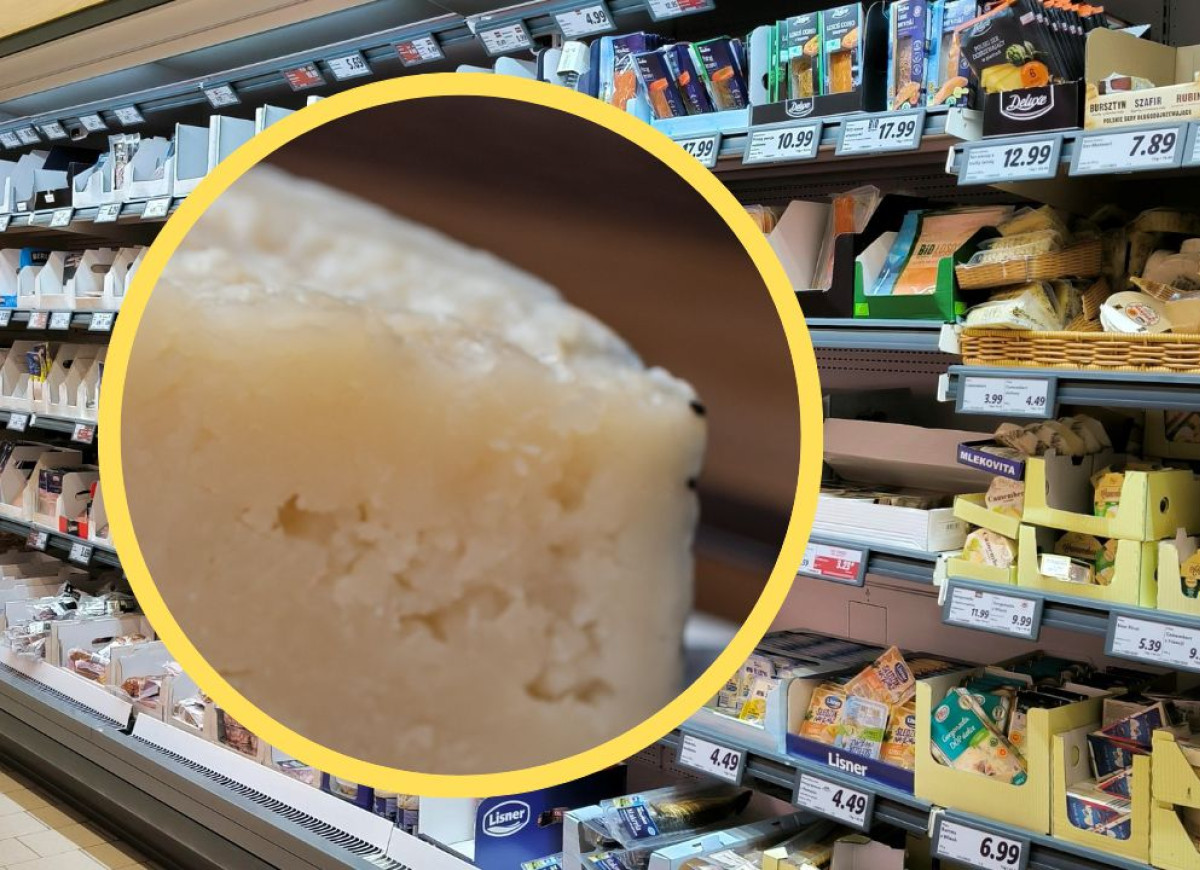 ser pecorino