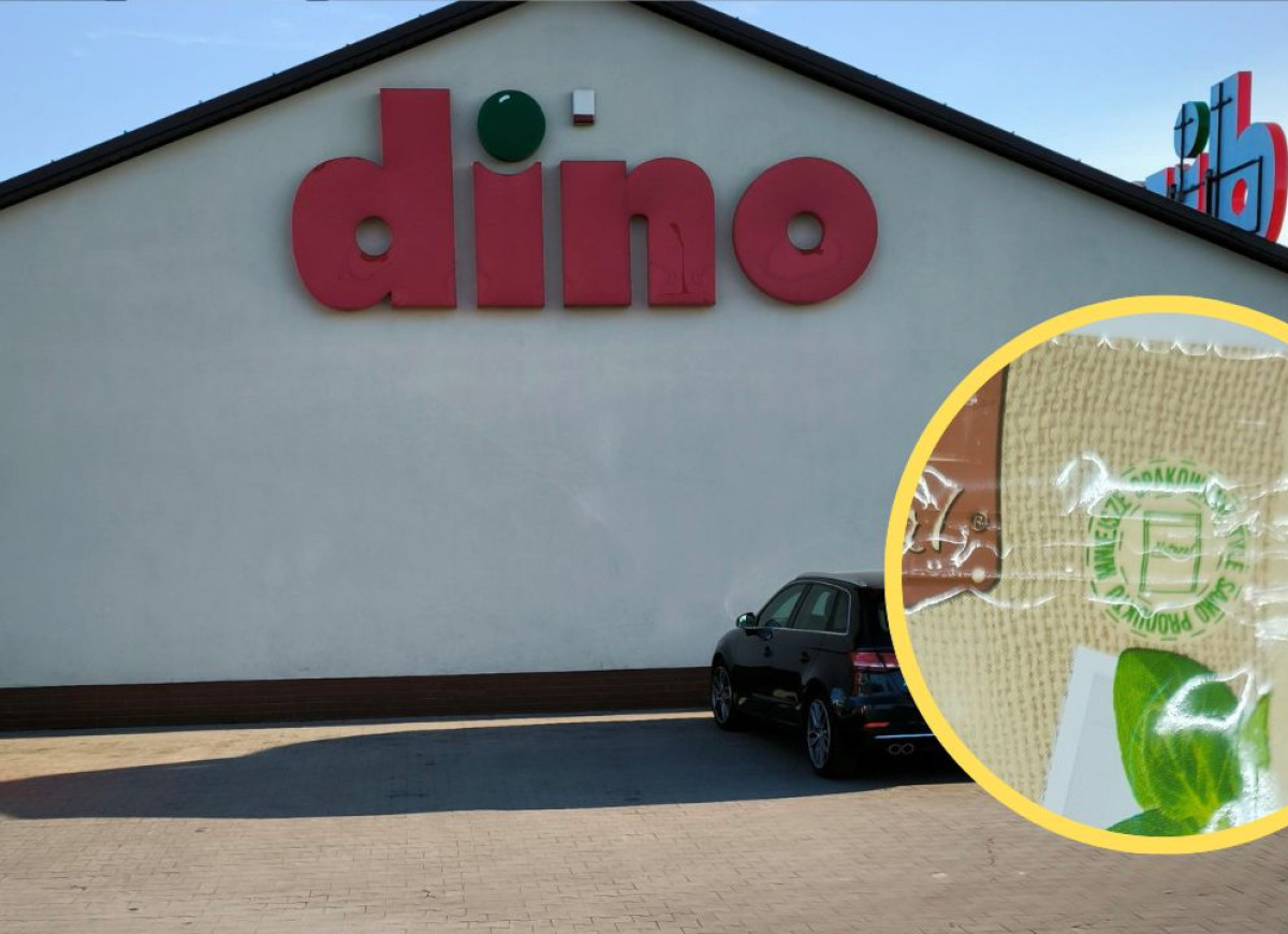 chrzan suszony z Dino