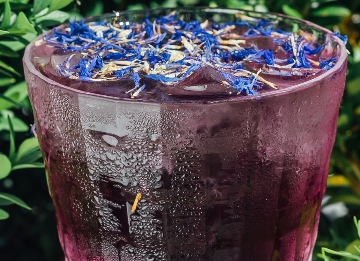 lemoniada chabrowa