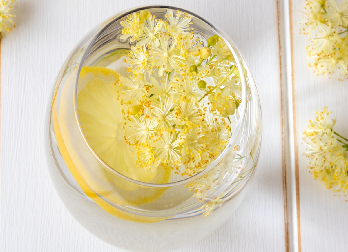 lemoniada z kwiatami lipy