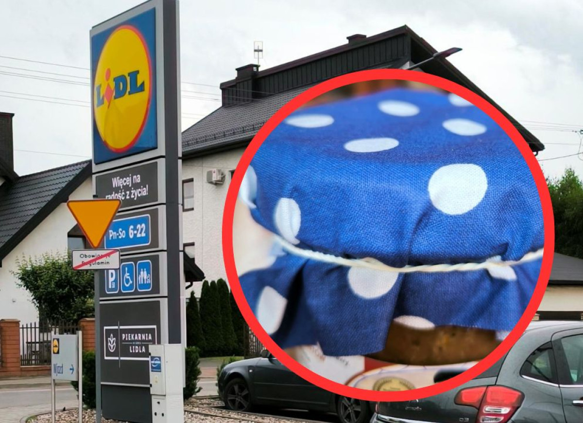 Rybka od Wielorybka z Lidla