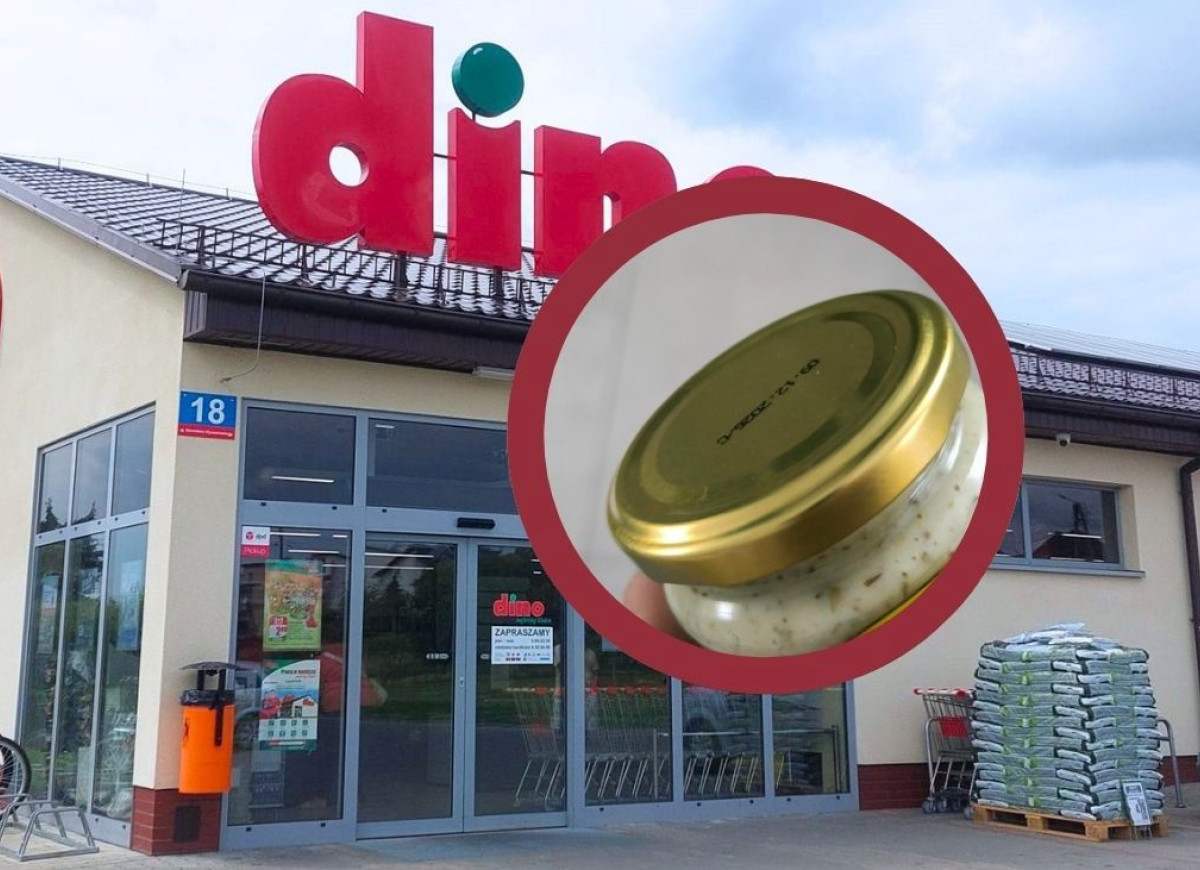 chrzan z Dino