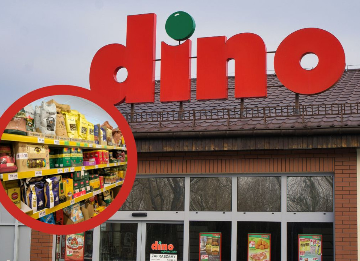 promocja na kawę w Dino