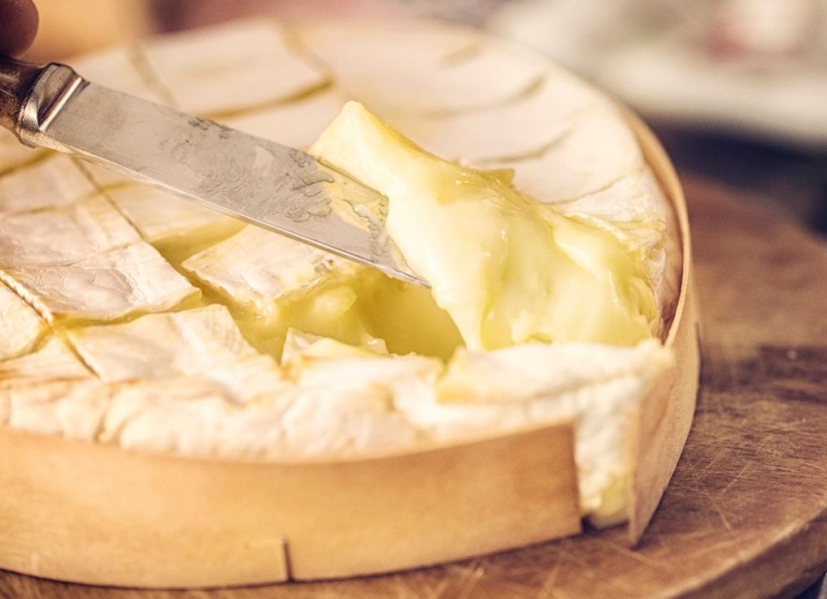 ser camembert