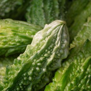 Przepękla ogórkowata