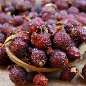 suszenie owoców dzikiej róży