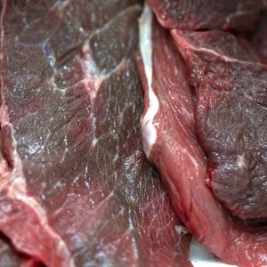 zgłoszenie do sanepidu