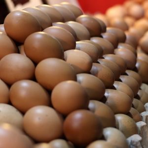 ceny jajek przed Wielkanocą 2025