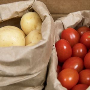 uprawa pomidorów i ziemniaków