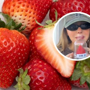 najdroższe truskawki