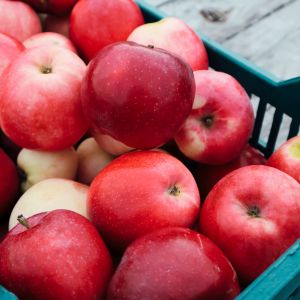 Przechowywanie jabłek