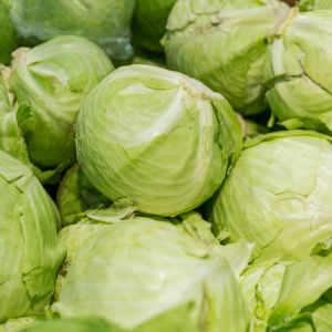 Przechowywanie kapusty