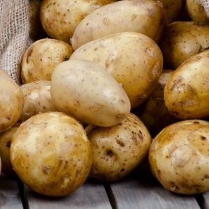 przechowywanie ziemniaków