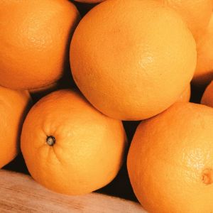 słodkie pomarańcze