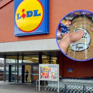 farsz kapuściano-grzybowy