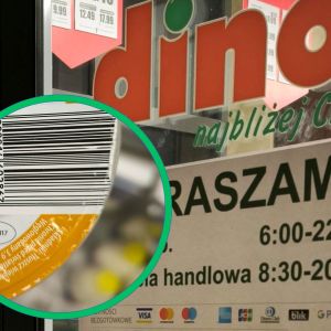 Dino smalec z morelą i curry