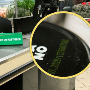 jagoda leśna z Dino