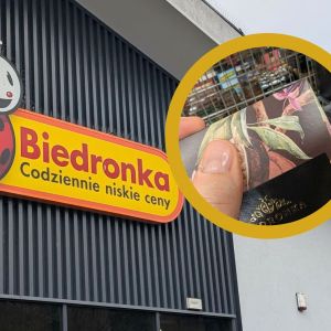czekolada belgijska z Biedronki
