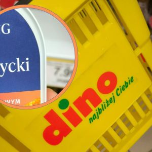 śledź bałtycki Dino