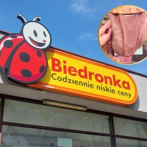 sznycle cielęce z Biedronki