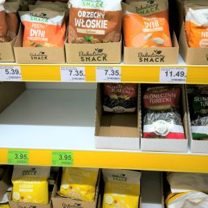 słonecznik turecki Dino