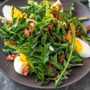 sałatka z liści mniszka