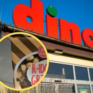 Radosne Grzybki z Dino