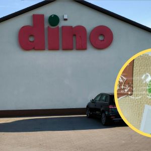 chrzan suszony z Dino