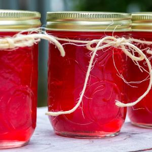 galaretka z jarzębiny i dzikich jabłek