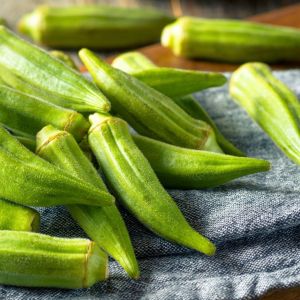 okra - piżmian jadalny