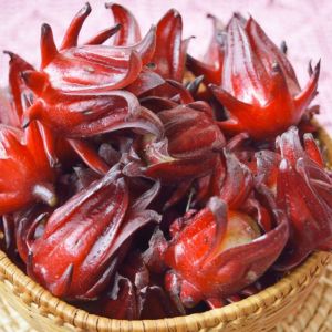 kielichy kwiatowe ketmii szczawiowej (hibiskusa)