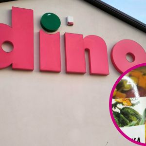 słoik meksykański z Dino