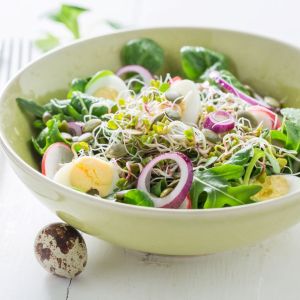 sałatka z kiełkami rzodkiewki