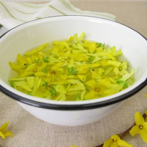 syrop z kwiatów forsycji