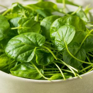 najzdrowsze warzywo na świecie